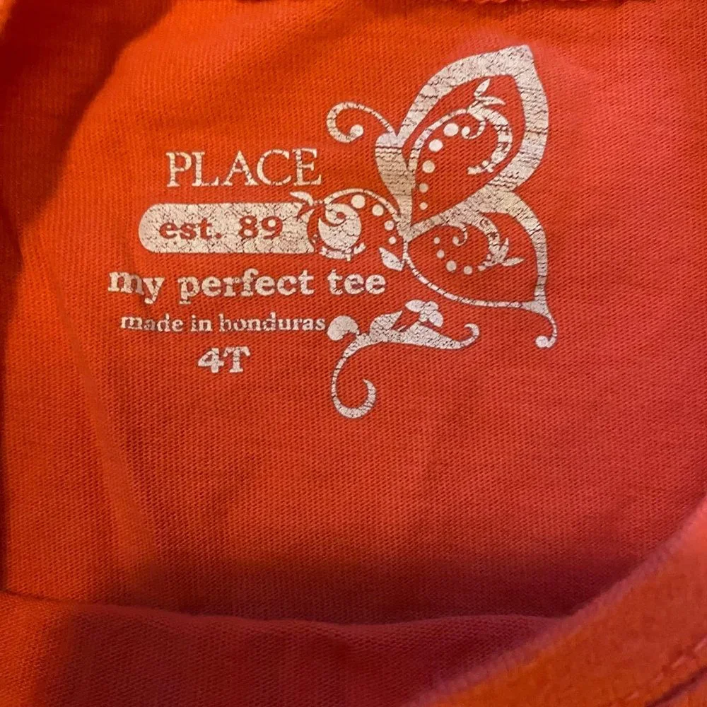 Children's Place Girl's Long Sleeve Blame it on my Sister‎ TShirt sz 4T